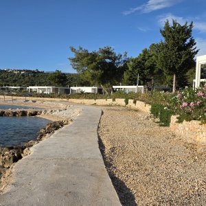 Strand Terra Phalaris 5
