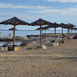 Strand Terra Phalaris 2