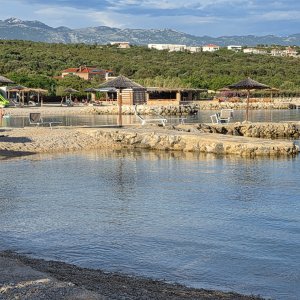 Strand Terra Phalaris