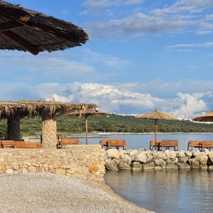 Strandbar Terra Phalaris