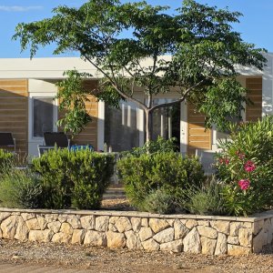 Terra Phalaris Bungalow1