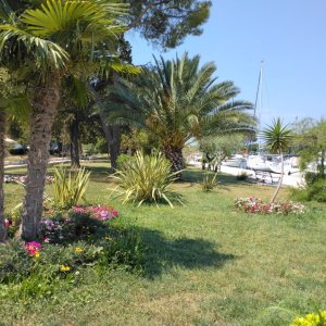 IMG_20260629_112011.jpg