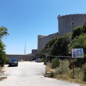 050.jpg
