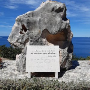 114.jpg
