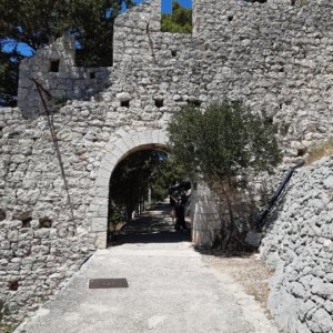 138.jpg