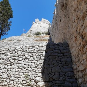 139.jpg