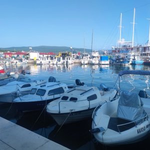 IMG_20260716_090102.jpg