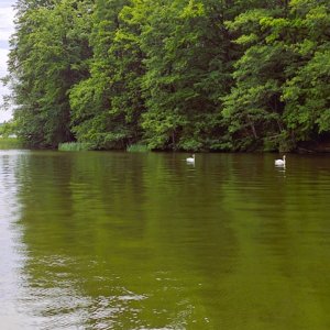 IMG_20260617_110003.jpg