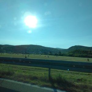 IMG_20260814_074945.jpg
