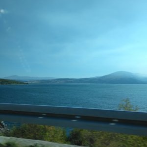 IMG_20260814_084234.jpg