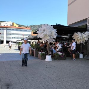 IMG_20260814_113406.jpg