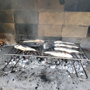 IMG_20260826_164738.jpg