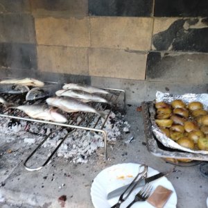IMG_20260826_164743.jpg