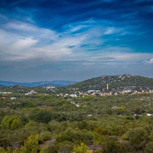 IMG_6654 (1).jpg