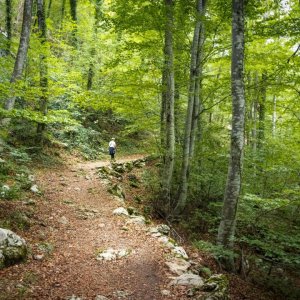 IMG_6671 (1).jpg