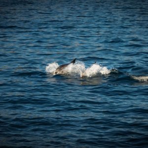 IMG_6891 (1).jpg