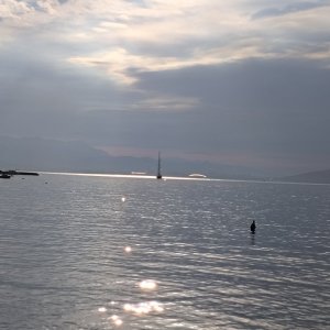 IMG_20260919_082958.jpg