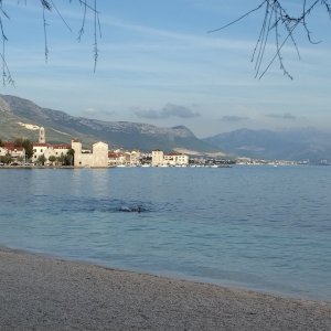 IMG_20261006_163940.jpg