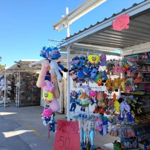 IMG_20261017_123914.jpg