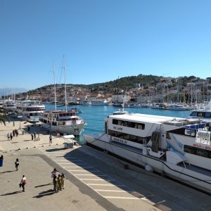 IMG_20261017_120437.jpg