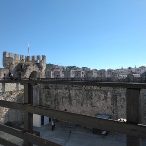 IMG_20261017_120133.jpg