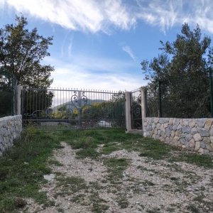 IMG_20261028_154247.jpg