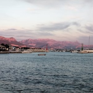 IMG_20261029_164437.jpg