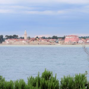 Blick von Calendula auf Novigrad