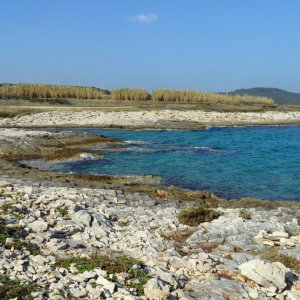 Istrien: LIZNJAN > wilder Strand bei Cesare Rossarol