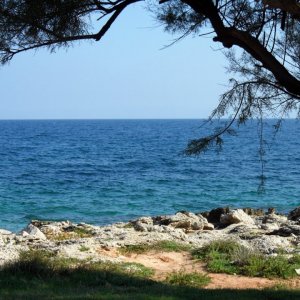 Istrien: LIZNJAN > wilder Strand beim Hafen von Sisan