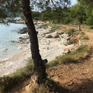 Dalmatien: Murter > Einsame Bucht