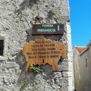 11 Cres 2019 Lubenice.JPG