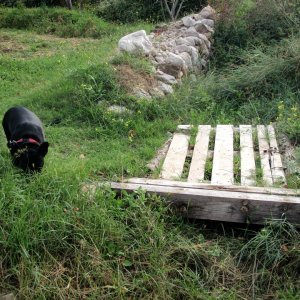 Kvarner: Otok KRK / BASKA > Brücke auf der Schafweide