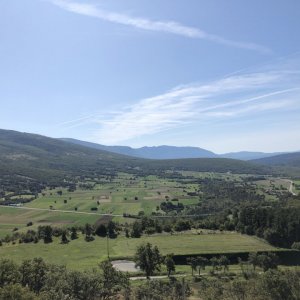 Boljun