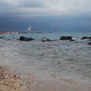 DSCF2707.JPG