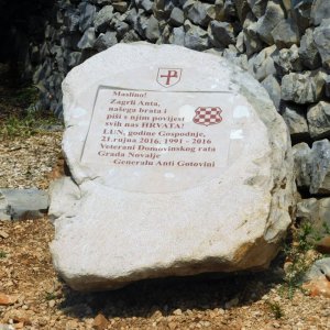 Dalmatien: Pag> Lun> Olivenhain