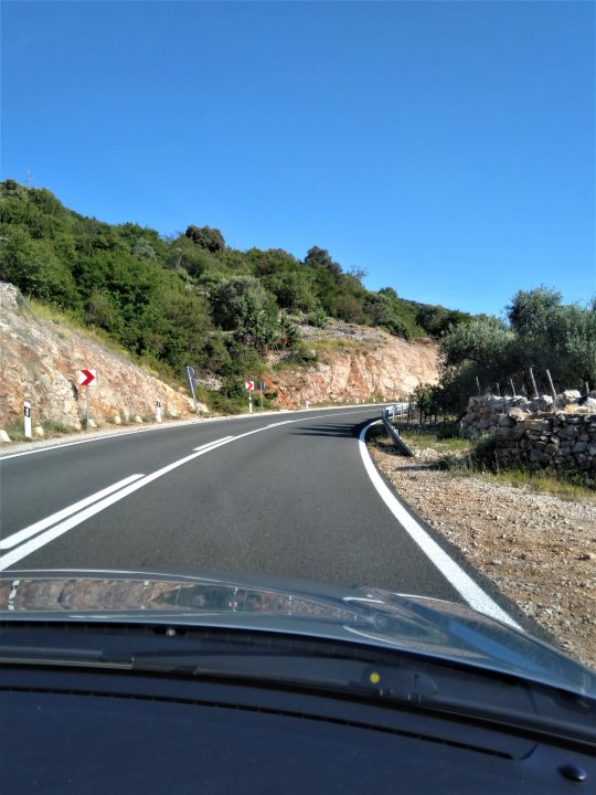 03 Cres 2019 Loznati.jpg