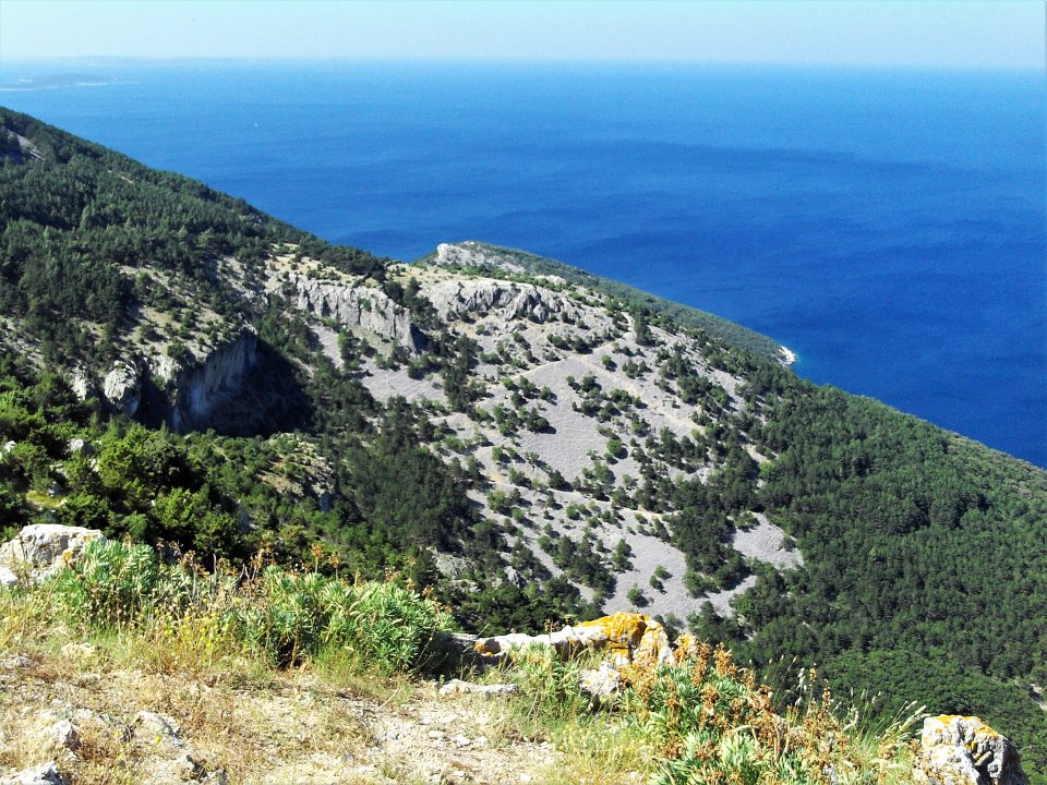 03 Cres 2019 Lubenice.JPG