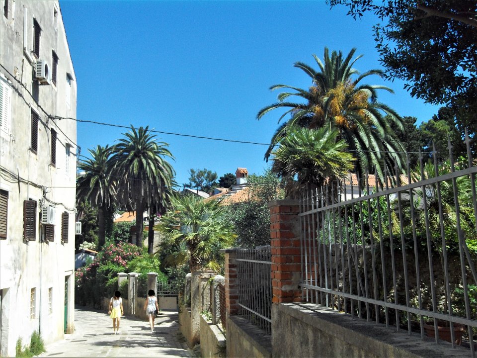 03 Cres 2019 Veli Losinj.JPG