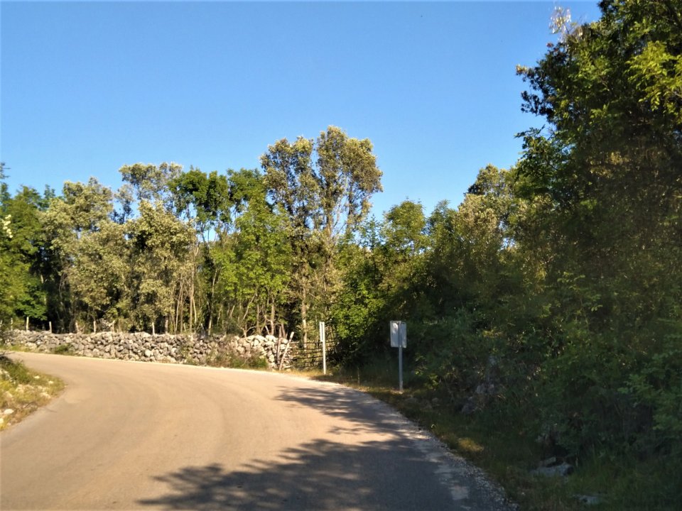 04 Cres 2019 Loznati.jpg