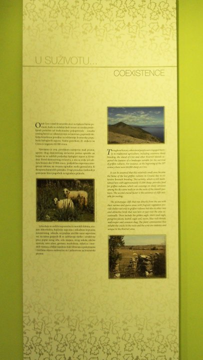 07 Beli Insel Cres.JPG