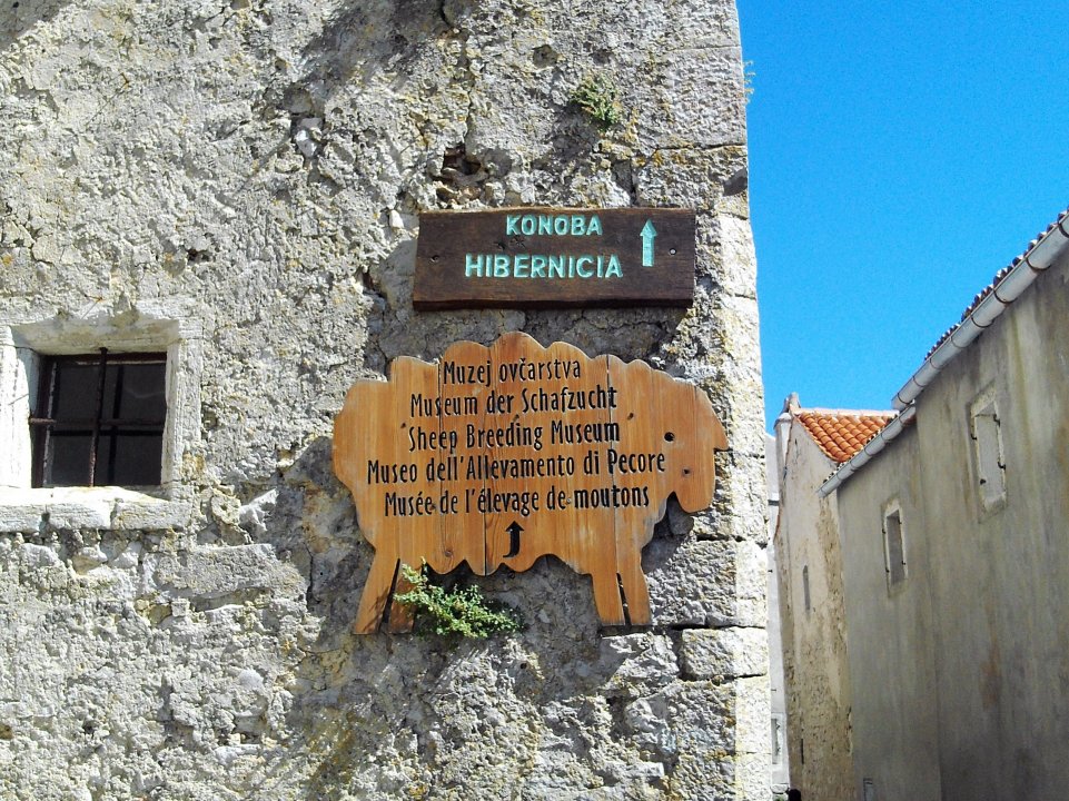 11 Cres 2019 Lubenice.JPG