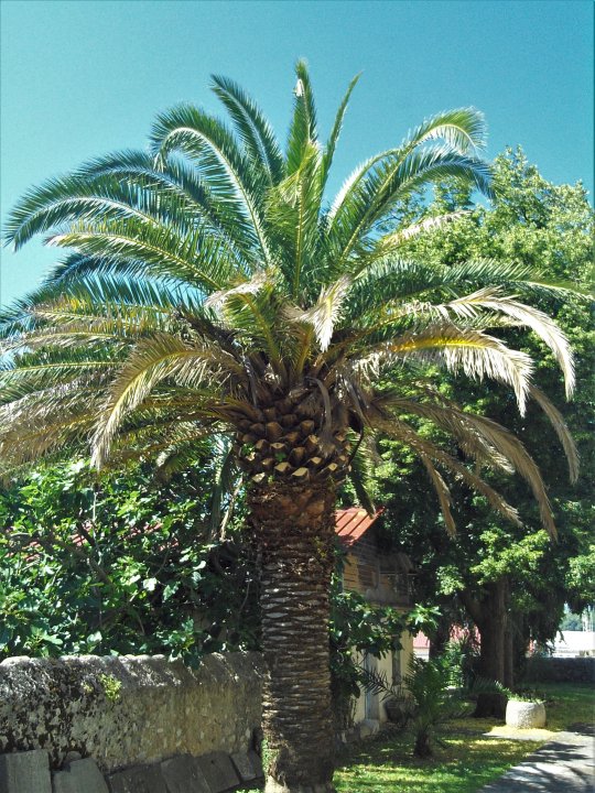 127 Kirche Hl, Franziskus.JPG