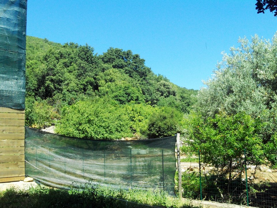 13 Beli Insel Cres.JPG