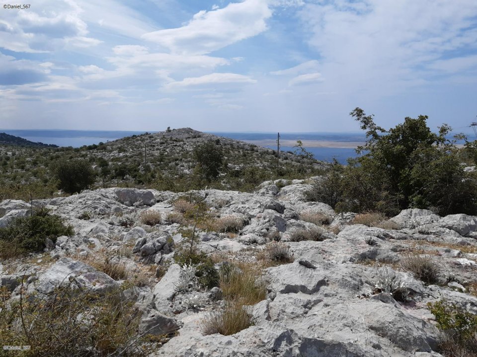 14_Mirila Ljubotic.jpg