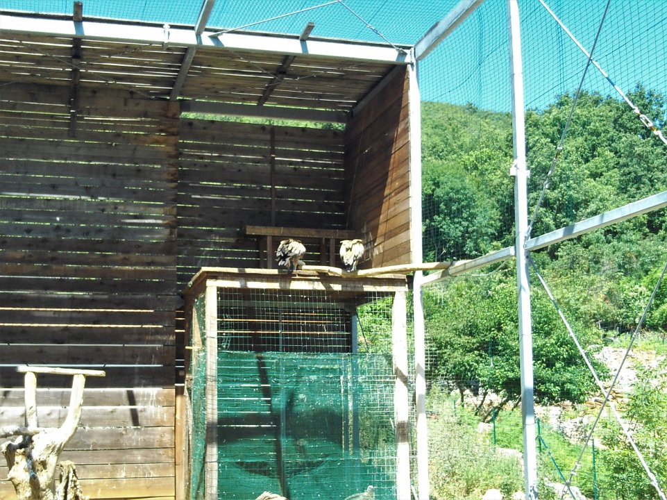 15 Beli Insel Cres.JPG