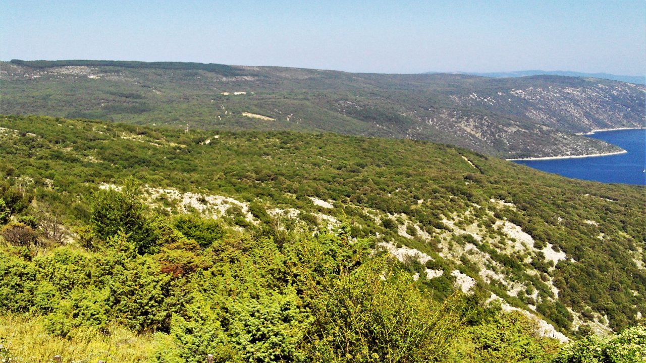 15 Cres 2019 Aussichtspunkt Inselstrasse - Valun.JPG