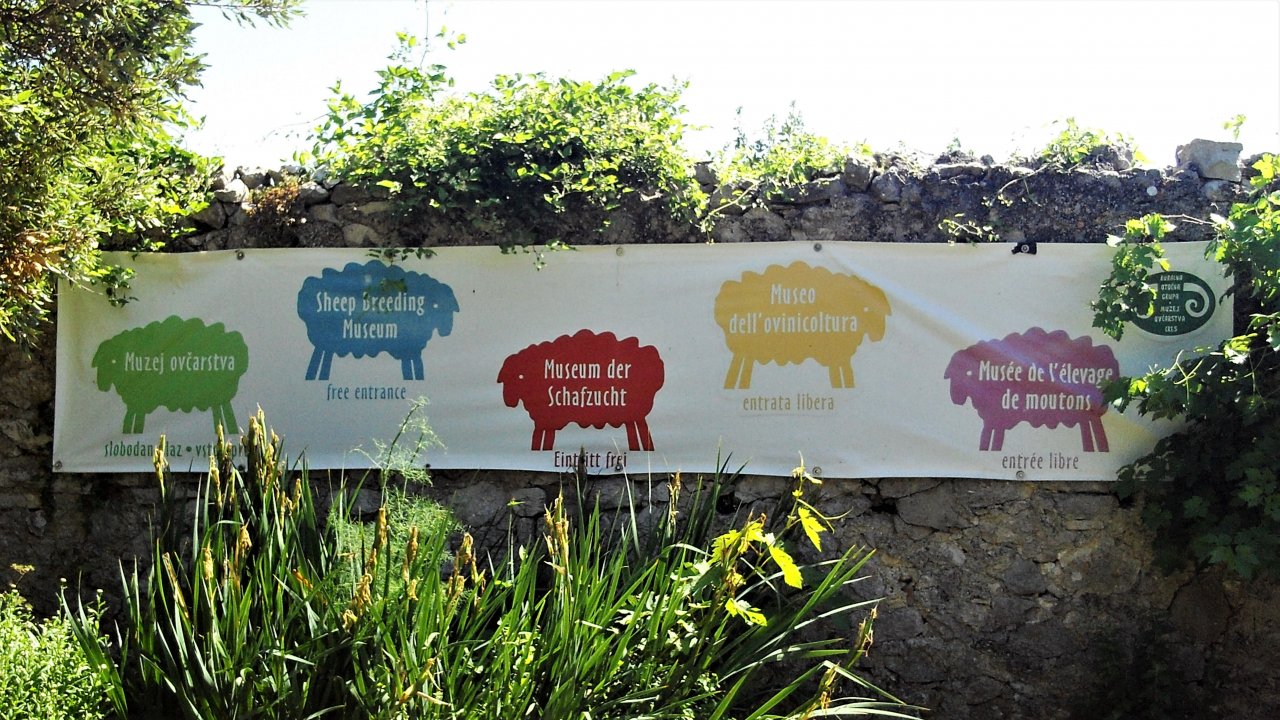 16 Cres 2019 Lubenice.JPG