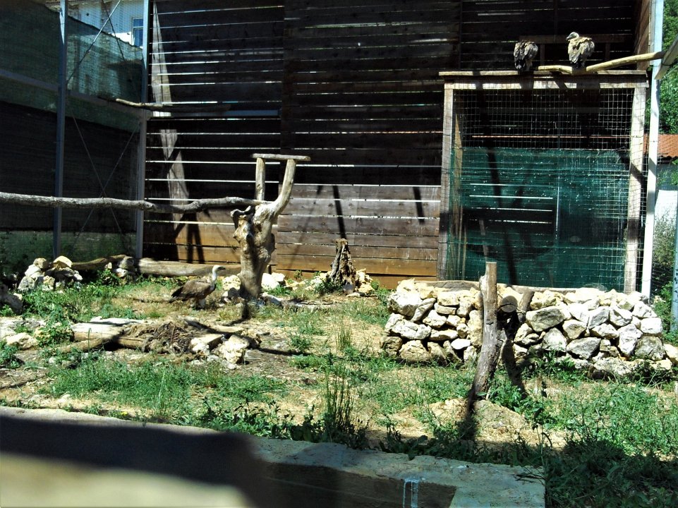 17 Beli Insel Cres.JPG