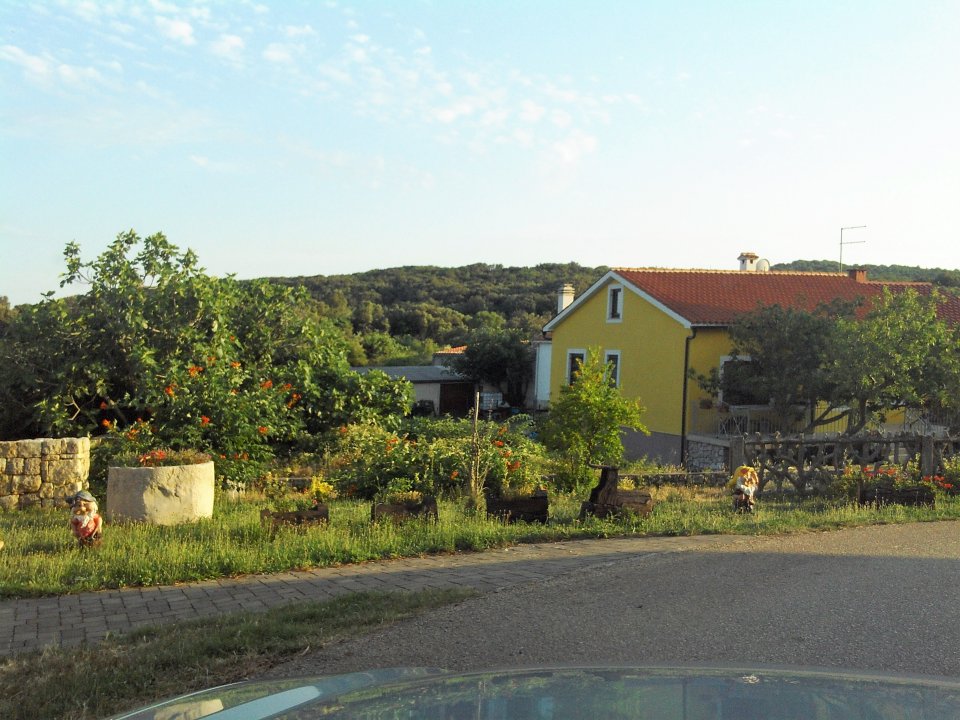 18 Cres 2019 Loznati.JPG